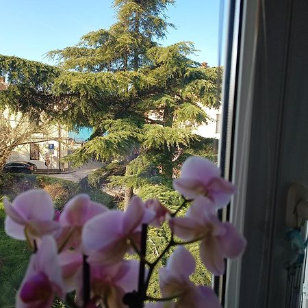 Apartment Luka 法扎纳 外观 照片