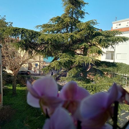 Apartment Luka 法扎纳 外观 照片