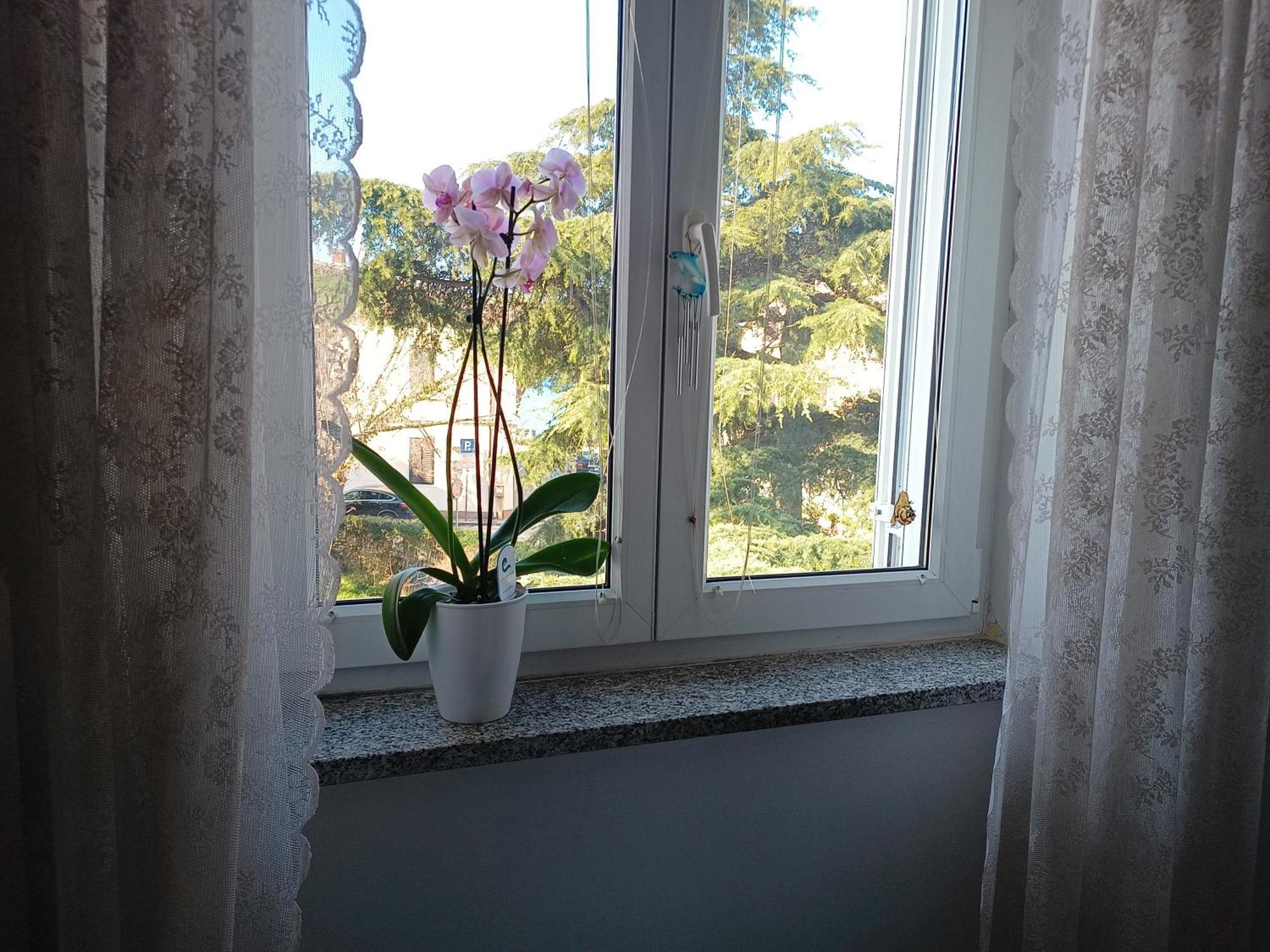 Apartment Luka 法扎纳 外观 照片