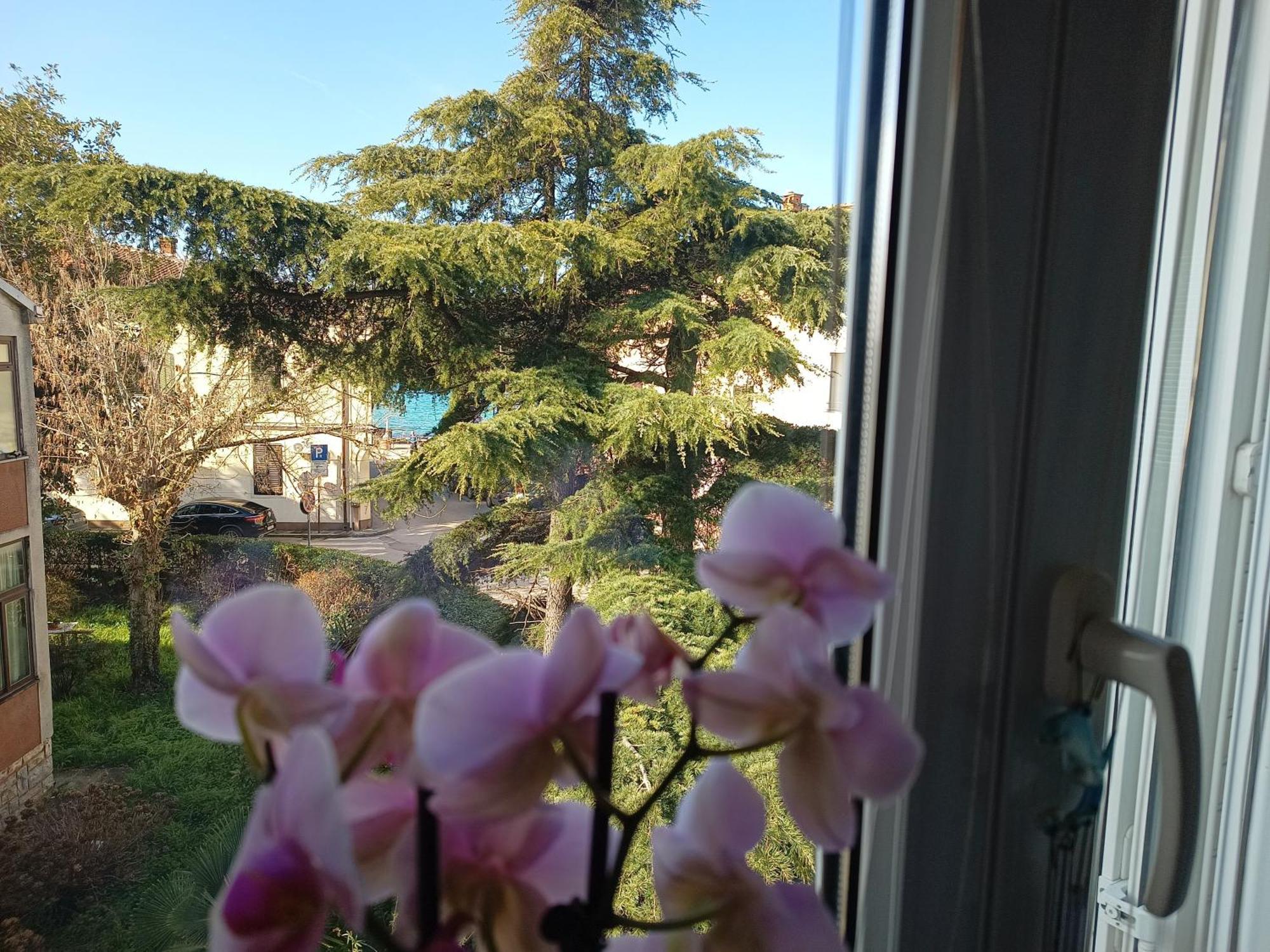 Apartment Luka 法扎纳 外观 照片