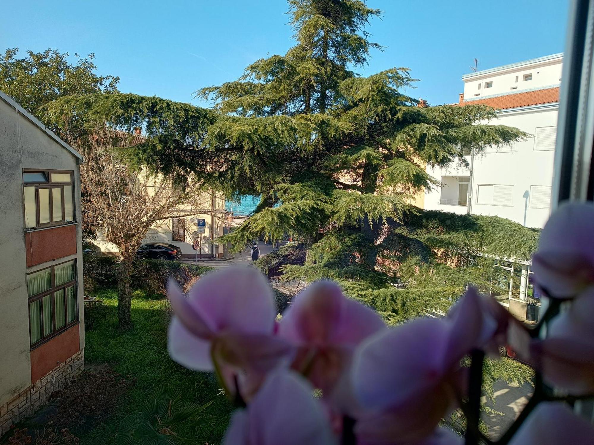 Apartment Luka 法扎纳 外观 照片